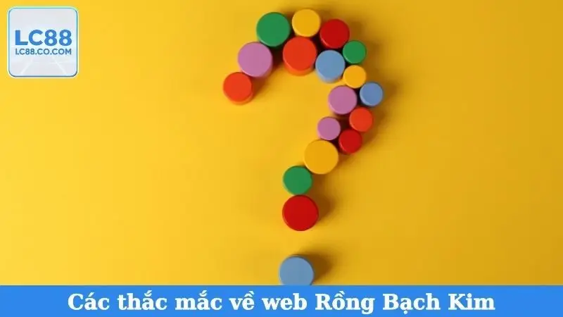 Các thắc mắc về web Rồng Bạch Kim