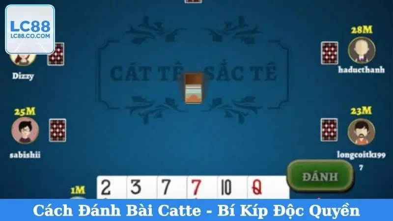 Cách Đánh Bài Catte - Bí Kíp Độc Quyền