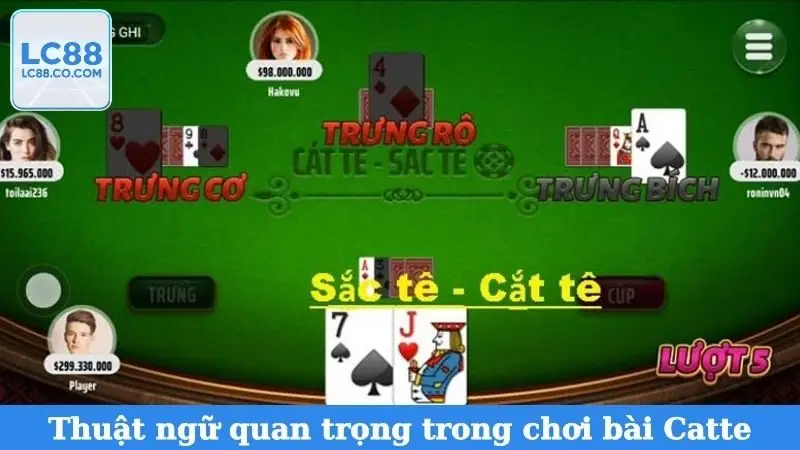 Thuật ngữ quan trọng trong chơi bài Catte