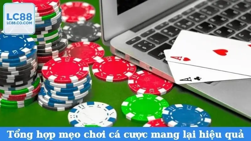 Tổng hợp các mẹo chơi cá cược mang lại hiệu quả